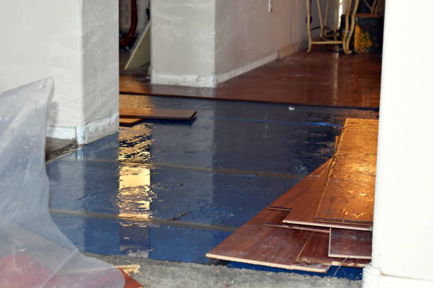 Professional Sewage Cleanup technician working in Closter, NJ